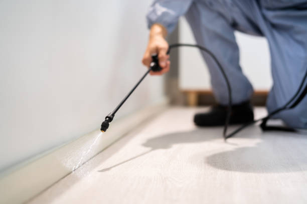 Licensed Exterminator service in University Park, IL - Show Me Pest Control